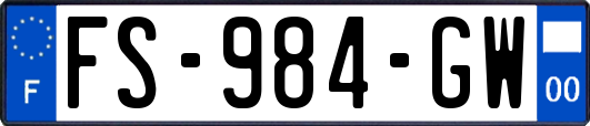 FS-984-GW