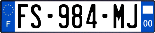 FS-984-MJ
