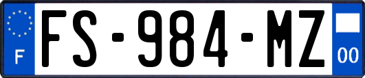 FS-984-MZ