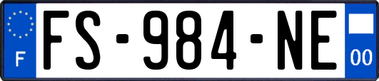 FS-984-NE