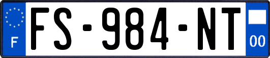 FS-984-NT