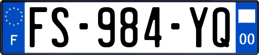 FS-984-YQ
