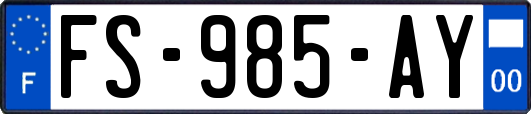 FS-985-AY