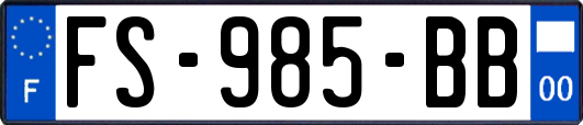 FS-985-BB