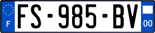 FS-985-BV