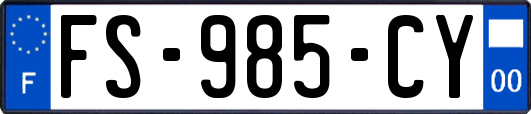 FS-985-CY