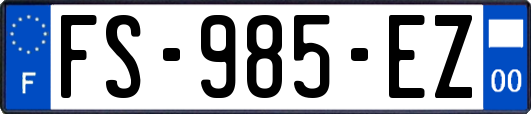 FS-985-EZ