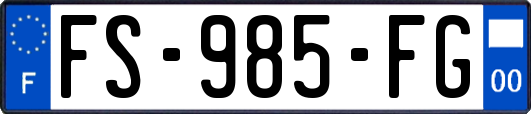 FS-985-FG