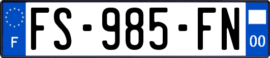FS-985-FN