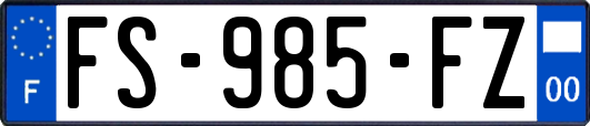 FS-985-FZ