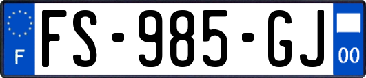 FS-985-GJ