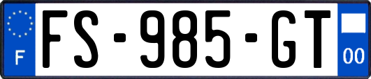 FS-985-GT