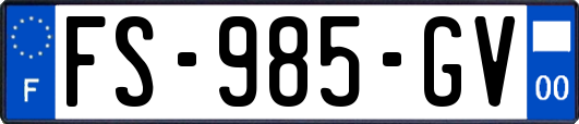 FS-985-GV