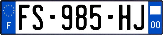 FS-985-HJ