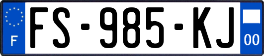FS-985-KJ