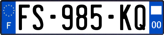 FS-985-KQ