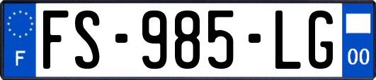 FS-985-LG