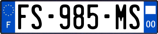 FS-985-MS