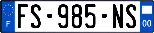 FS-985-NS