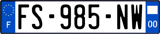FS-985-NW