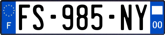FS-985-NY