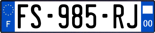 FS-985-RJ