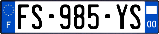 FS-985-YS