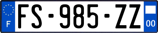 FS-985-ZZ