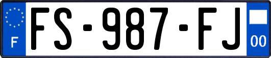 FS-987-FJ
