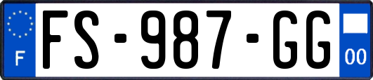 FS-987-GG