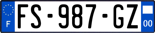 FS-987-GZ