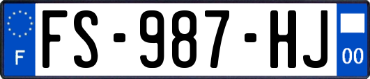 FS-987-HJ