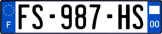 FS-987-HS