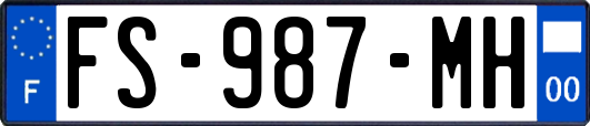 FS-987-MH