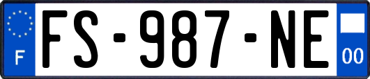 FS-987-NE