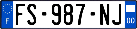 FS-987-NJ