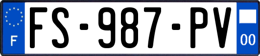 FS-987-PV