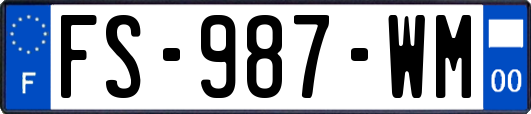 FS-987-WM