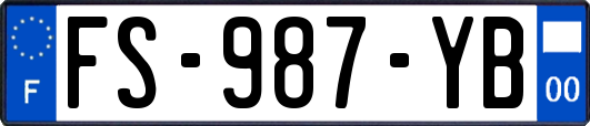 FS-987-YB