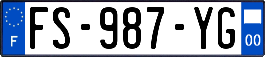 FS-987-YG