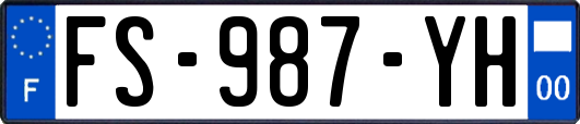 FS-987-YH