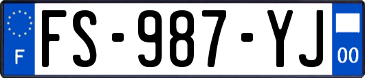 FS-987-YJ
