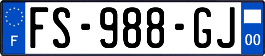 FS-988-GJ