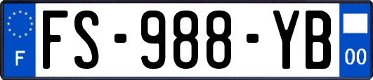 FS-988-YB
