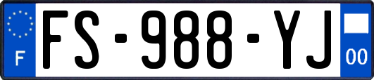 FS-988-YJ