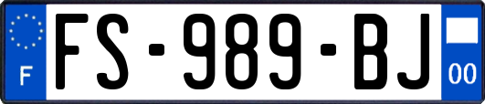 FS-989-BJ