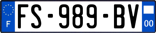 FS-989-BV