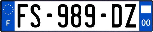 FS-989-DZ