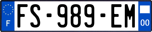 FS-989-EM