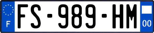 FS-989-HM